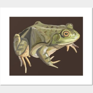 American Bullfrog Watercolor Posters and Art